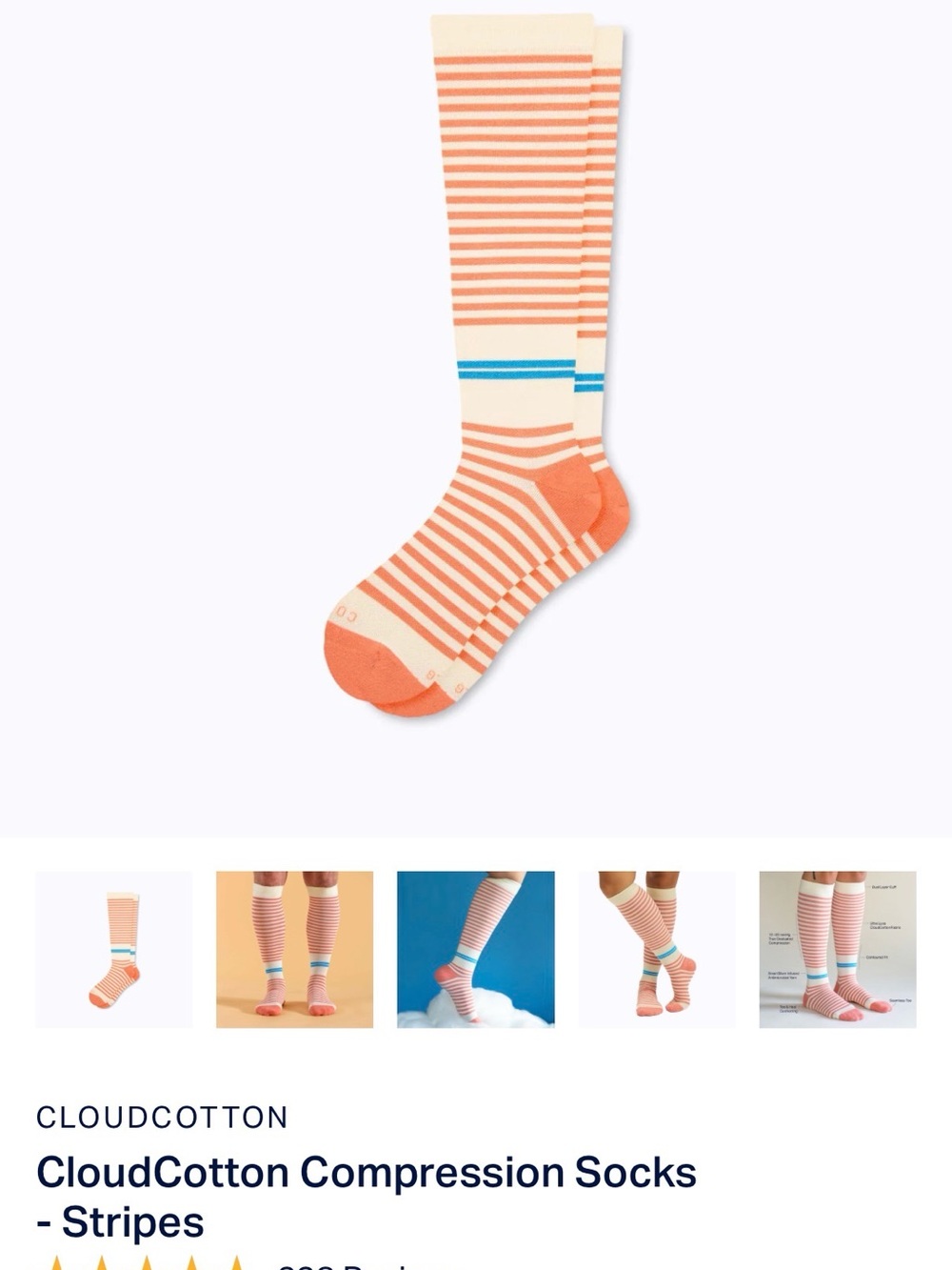 Comrad Knee High Compression Socks - Cream & Terra Cotta Stripe - L
